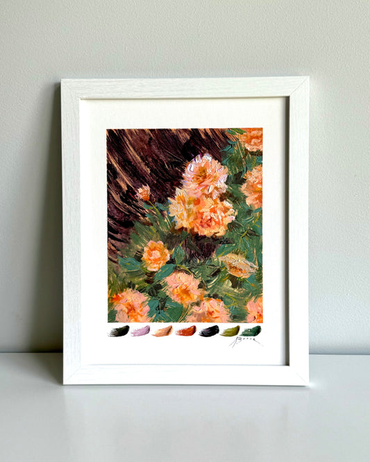 Peach Roses II: 11x14"